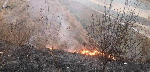 狮子山爆料视频播放,揭秘事件背后惊人真相 第1张 狮子山爆料视频播放,揭秘事件背后惊人真相 第1张